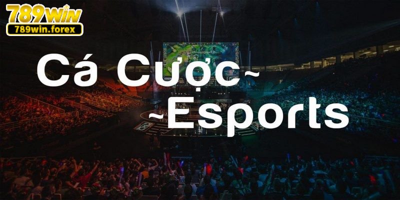 Esport 789Win cung cấp nhiều trò chơi hấp dẫn khác nhau