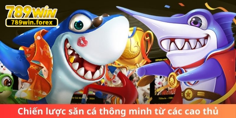 Chiến lược săn cá thông minh từ các cao thủ