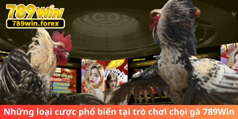 Những loại cược phổ biến tại trò chơi chọi gà 789Win