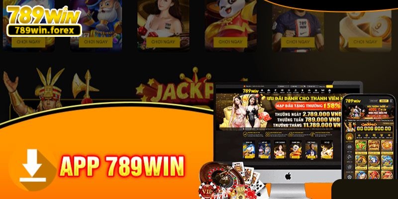 Đôi nét về ứng dụng cá cược 789win